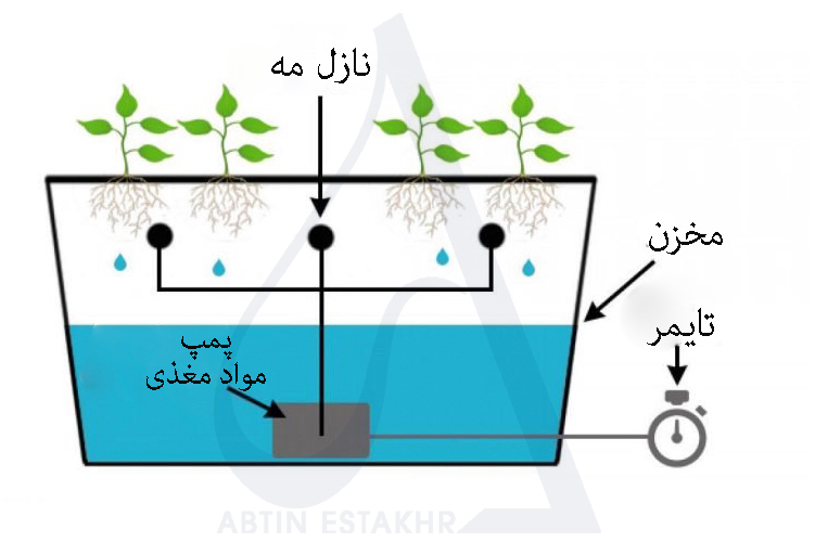 هیدروپونیک چیست و چگونه کار می کند؟